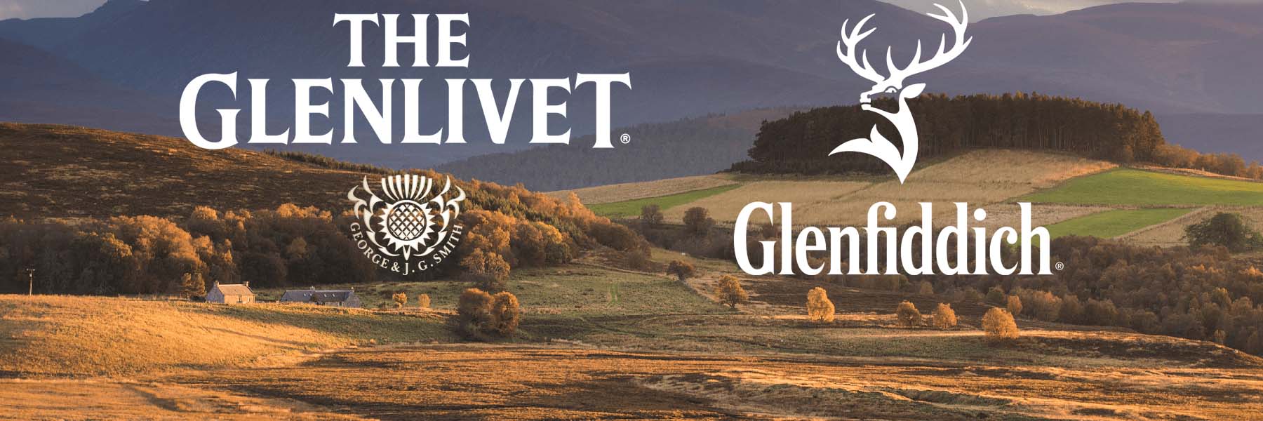 Glenlivet vs Glenfiddich Which Is the King of Single Malt Scotch