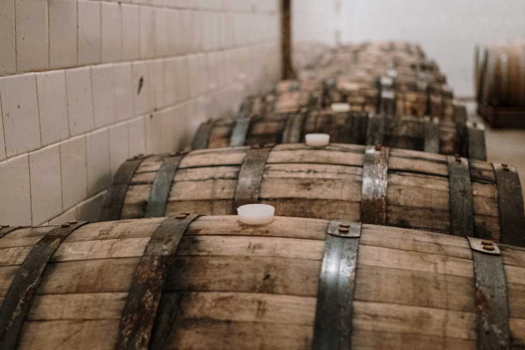 Row of wooden whiskey barrels inside white cellar