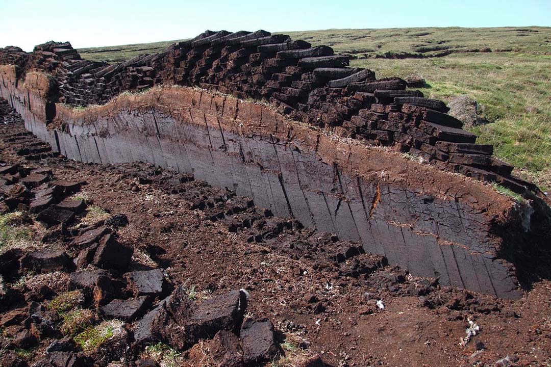 Stacked peat on grassy hill on bright day