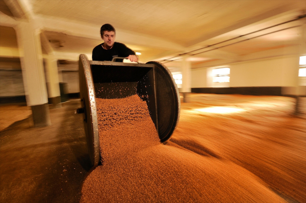 Whisky Malting