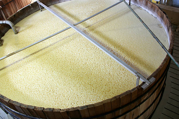 Fermentation